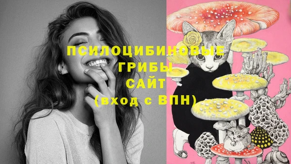 mdpv Абаза