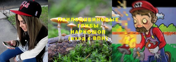 шишки Абдулино