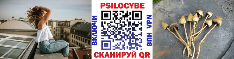 OMG рабочий сайт  Котовск  Галлюциногенные грибы Magic Shrooms 